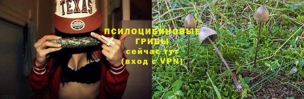 прущие крисы Щучье