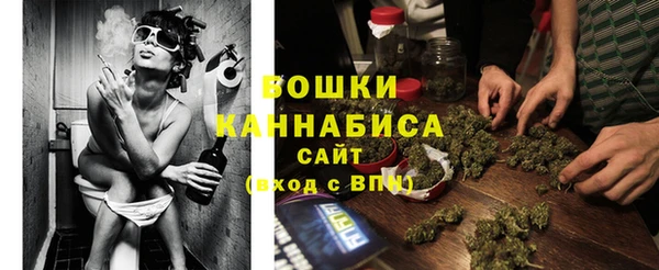 экстази Щигры