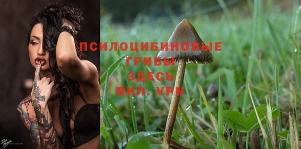 индика Янаул